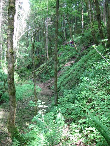 Gauchachschlucht 29.05.2003