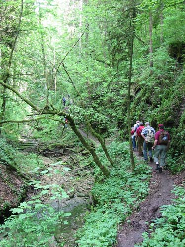 Gauchachschlucht 29.05.2003