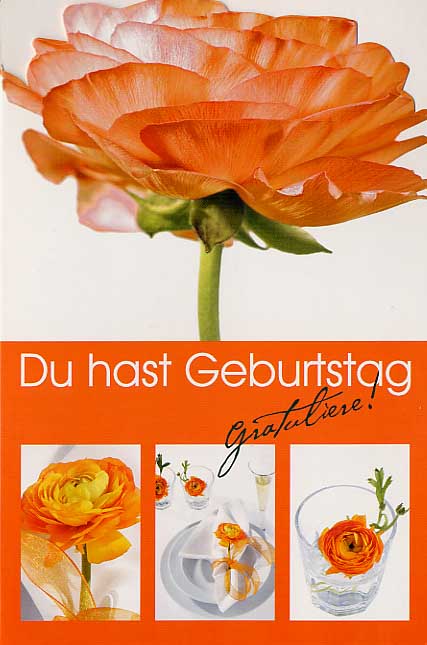 Geburtstag 2006