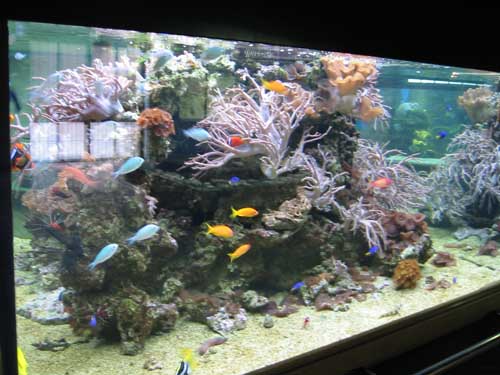 Eindrücke vom Meeresmuseum