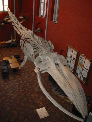 Eindrücke vom Meeresmuseum