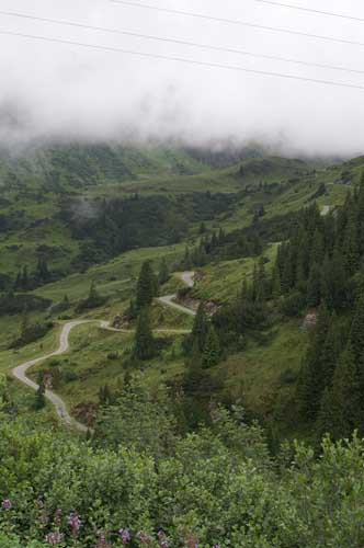 Fahrweg zur Verbellaalpe
